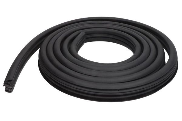 BLIC 5703-04-1310503P Türdichtung