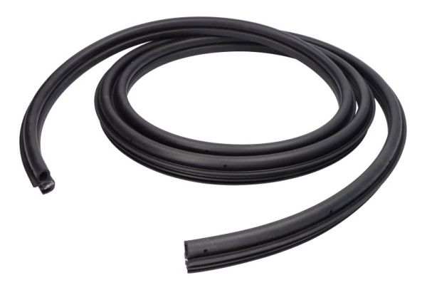 BLIC 5703-04-2008501P Türdichtung