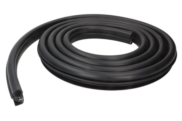 BLIC 5703-04-2030503P Türdichtung