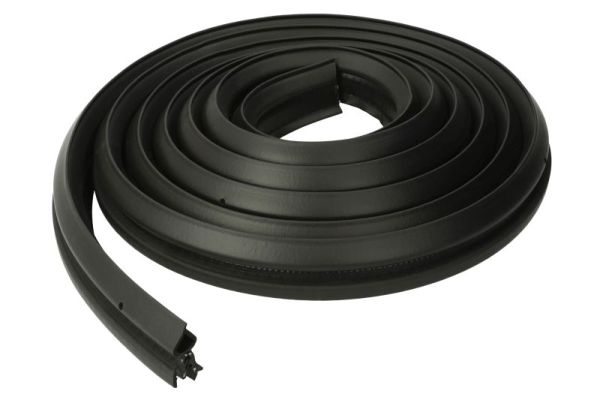 BLIC 5703-04-2030507HP Türdichtung