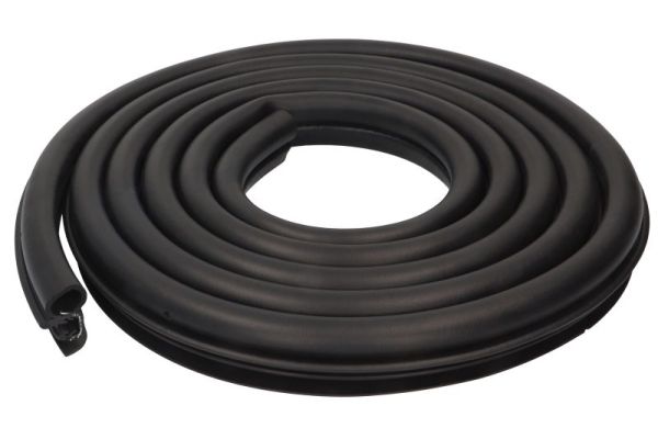 BLIC 5703-04-2042501P Türdichtung