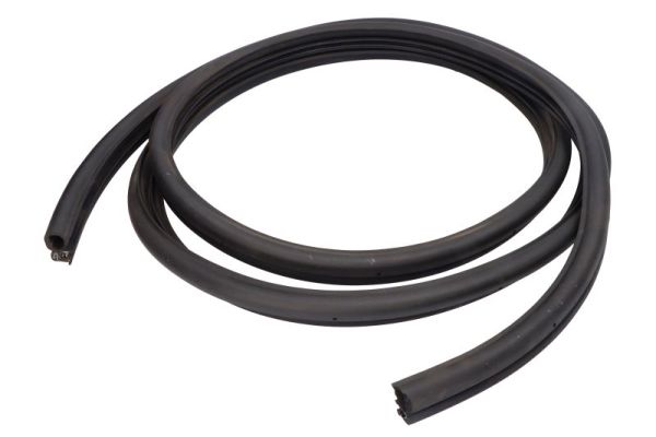 BLIC 5703-04-2092515GP Türdichtung