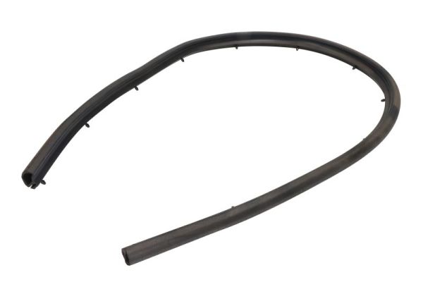 BLIC 5703-04-2092515PP Türdichtung