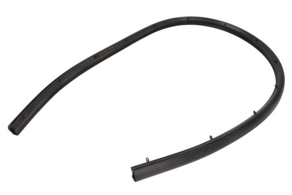 BLIC 5703-04-2092515P Türdichtung