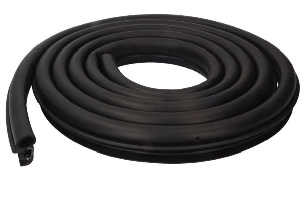 BLIC 5703-04-2555501P Türdichtung