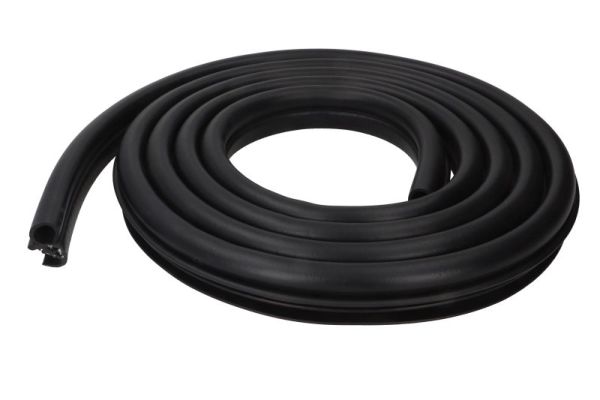 BLIC 5703-04-2555503P Türdichtung