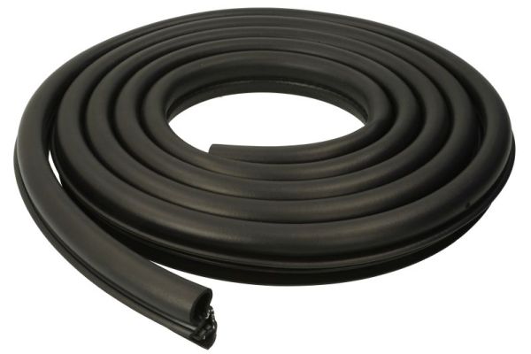 BLIC 5703-04-2556501P Türdichtung