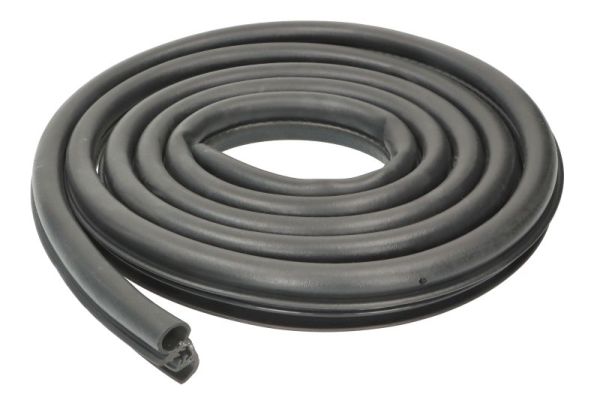 BLIC 5703-04-2556503P Türdichtung