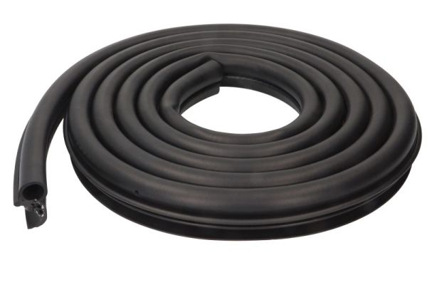 BLIC 5703-04-5502501PP Türdichtung