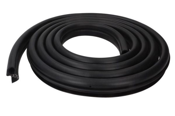 BLIC 5703-04-5519503P Türdichtung