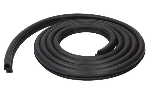 BLIC 5703-04-6010506P Türdichtung