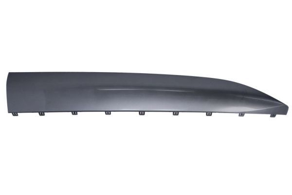 BLIC 5703-04-7900574P Trim/Protection Strip, door