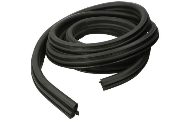 BLIC 5703-04-9558503P Türdichtung