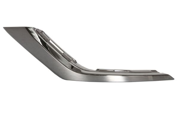 BLIC 5703-05-3753925P Zier-/Schutzleiste, Stoßfänger