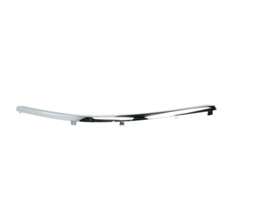 BLIC 5703-05-9539926P Zier-/Schutzleiste, Stoßfänger