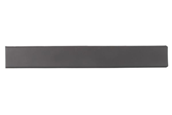 BLIC 5703-06-2092571P Zier-/Schutzleiste, Seitenwand