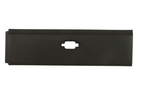 BLIC 5703-06-6089575DP Zier-/Schutzleiste, Seitenwand