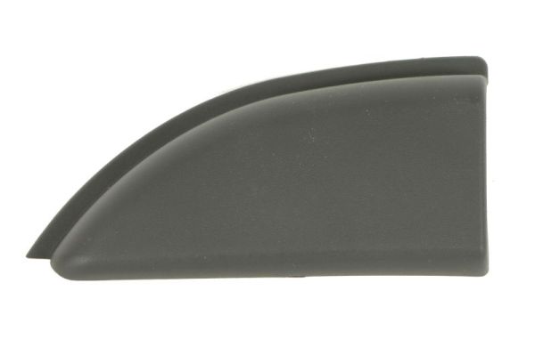 BLIC 5703-06-6089579P Zier-/Schutzleiste, Seitenwand