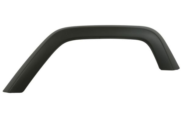 BLIC 5703-08-3255377P Zier-/Schutzleiste, Kotflügel