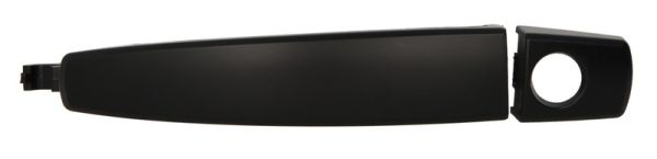 BLIC 6010-04-042401P...