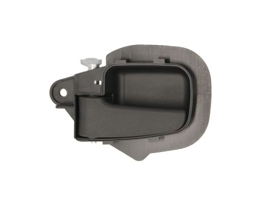 BLIC 6010-05-004409P...