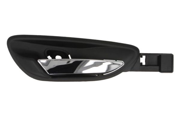 BLIC 6010-07-017408PPPC...