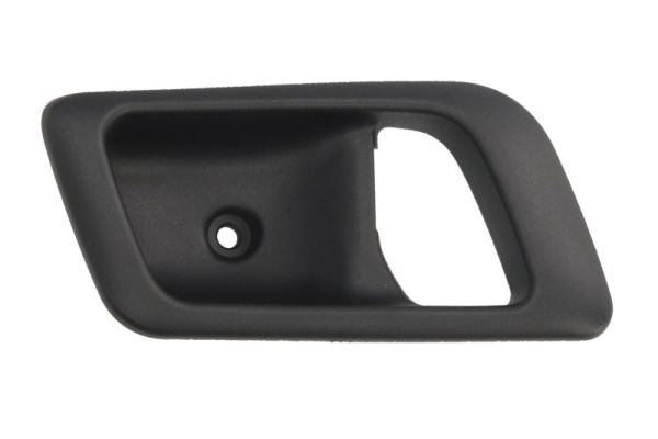 BLIC 6010-07-029409PPP...