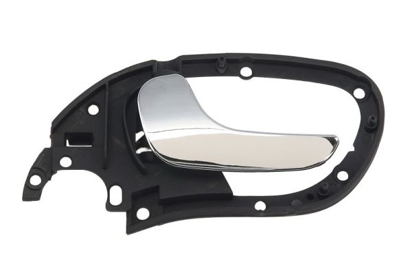 BLIC 6010-10-010409P...