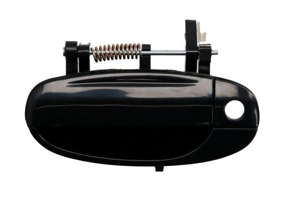 BLIC 6010-56-005401P Türaußengriff