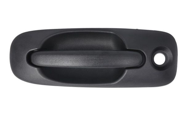 BLIC 6010-58-013401P Türaußengriff