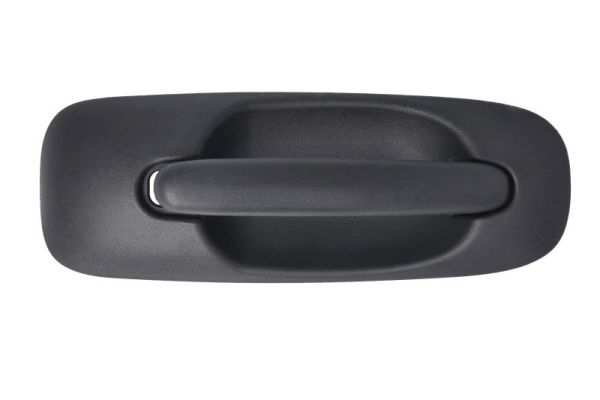 BLIC 6010-58-013402P Türaußengriff