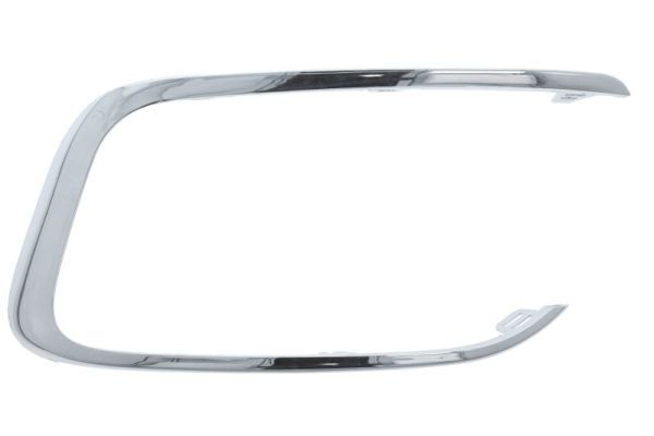 BLIC 6502-07-0563921P Trim/Protection Strip, bumper for CITROËN