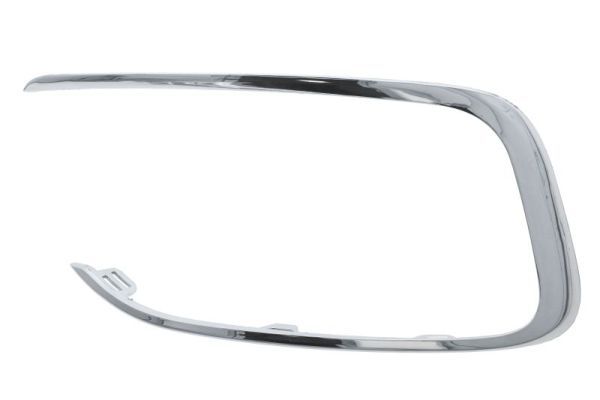 BLIC 6502-07-0563922P Trim/Protection Strip, bumper for CITROËN