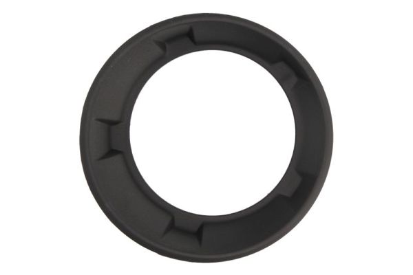 BLIC 6502-07-1189991P Rahmen, Nebelscheinwerfer