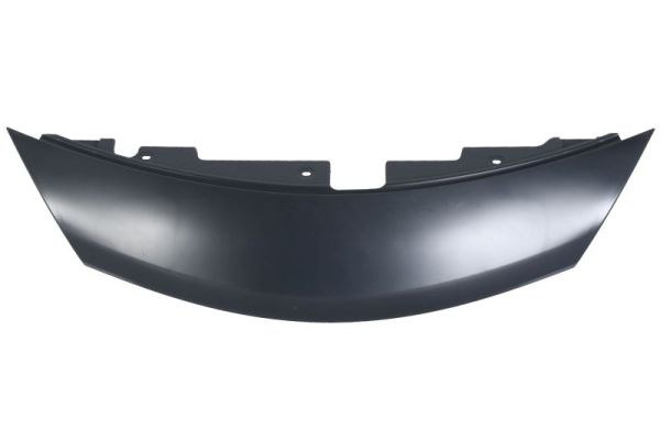 BLIC 6502-07-1638210P Blende, Kühlergitter