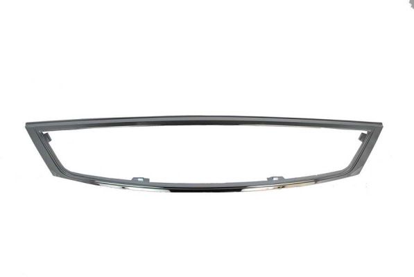 BLIC 6502-07-2555996Q Zier-/Schutzleiste, Kühlergitter