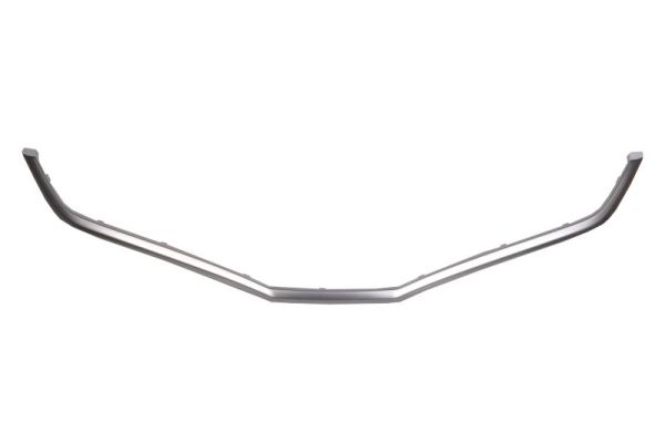 BLIC 6502-07-2901994P Zier-/Schutzleiste, Kühlergitter