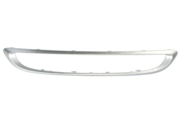 BLIC 6502-07-3502988P Zier-/Schutzleiste, Kühlergitter