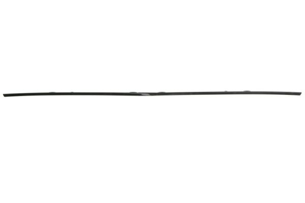 BLIC 6502-07-5055995P Zier-/Schutzleiste, Kühlergitter