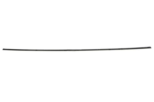 BLIC 6502-07-5055995P Zier-/Schutzleiste, Kühlergitter