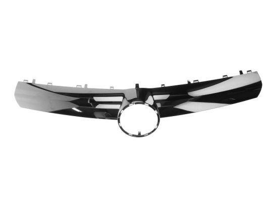 BLIC 6502-07-5063991P Zier-/Schutzleiste, Kühlergitter