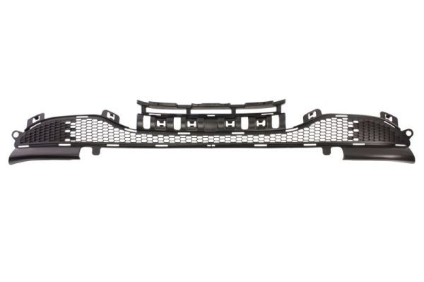 BLIC 6502-07-5509996P...