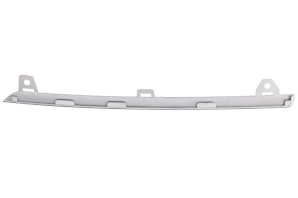 BLIC 6502-07-5723929P Lüftungsgitter, Stoßfänger
