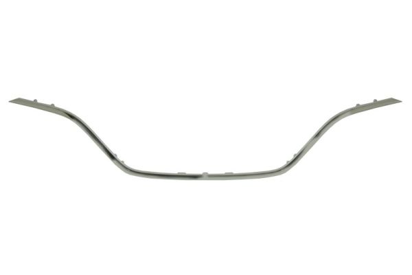 BLIC 6502-07-6047992P Zier-/Schutzleiste, Kühlergitter