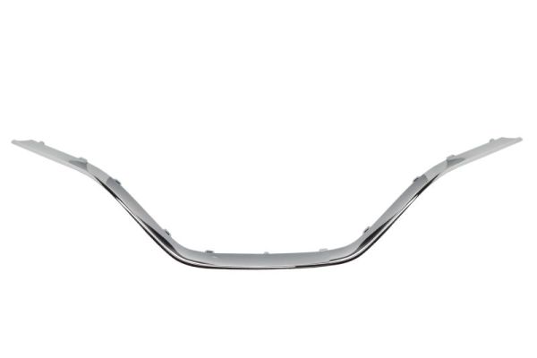 BLIC 6502-07-6090992P Zier-/Schutzleiste, Kühlergitter