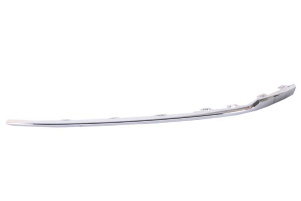 BLIC 6502-07-9589923P Zier-/Schutzleiste, Stoßfänger