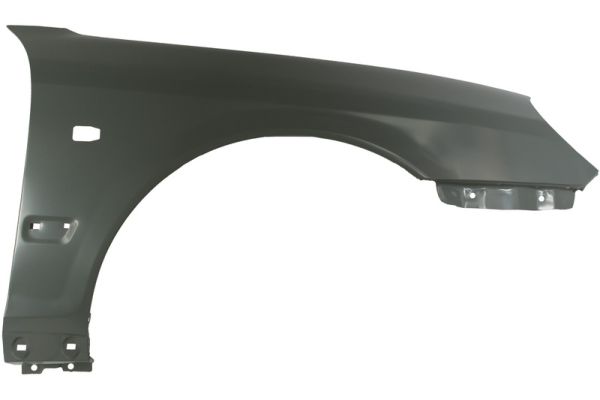 BLIC 6504-04-3168312P Kotflügel