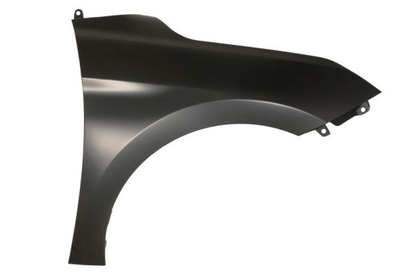 BLIC 6504-04-3173312P Kotflügel