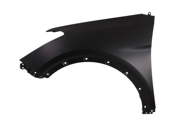 BLIC 6504-04-3182311P Kotflügel