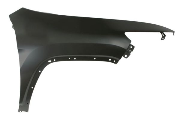 BLIC 6504-04-3206316P Kotflügel